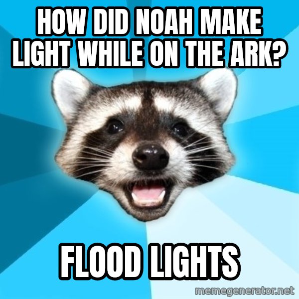 Lame Pun Coon meme: How did Noah make light while on the ark? / FLOOD LIGHTS