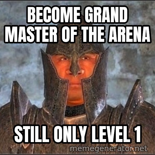 Oblivion Guard meme: Become grand master of the arena / Still only level 1