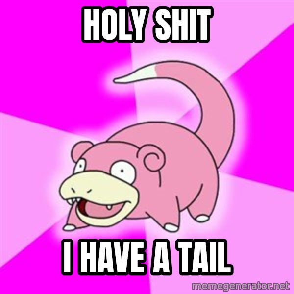 Slowpoke meme: Holy Shit / I have a Tail