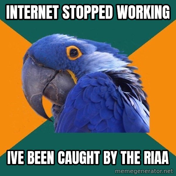 Paranoid Parrot meme: internet stopped working / ive been caught by the riaa