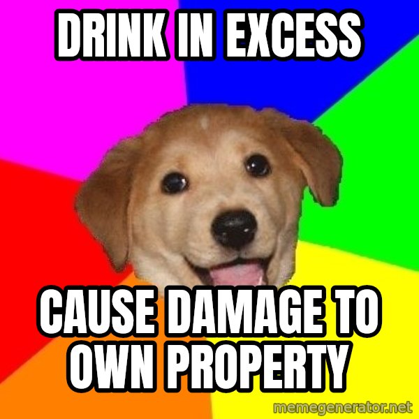 Advice Dog meme: DRINK IN EXCESS / CAUSE DAMAGE TO OWN PROPERTY