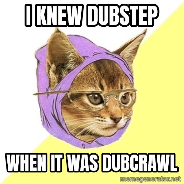 Hipster Kitty meme: I knew Dubstep / When it was dubcrawl