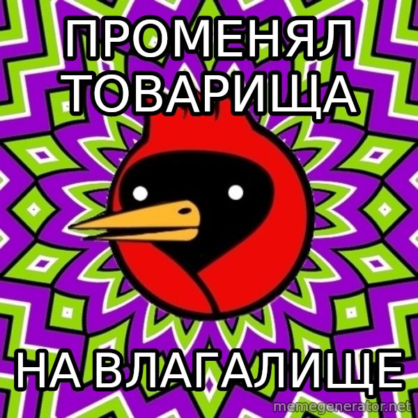 Omsk Crow meme: Променял товарища / на влагалище