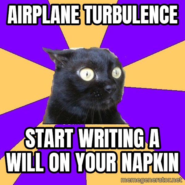 Anxiety Cat meme: Airplane Turbulence / Start writing a will on your napkin