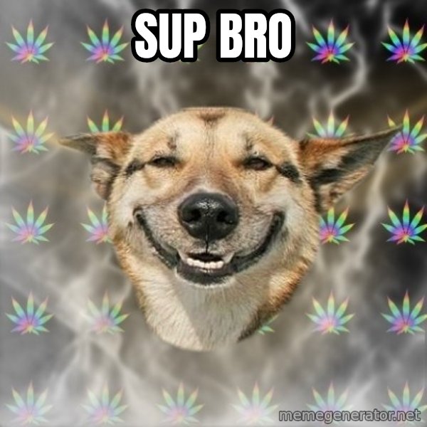 Stoner Dog meme: SUP BRO