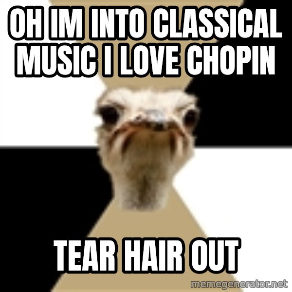 Music Major Ostrich meme: Oh Im into Classical music I love Chopin / tear hair out
