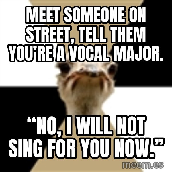Music Major Ostrich meme: Meet someone on street, tell them you’re a vocal major. / “No, I will not sing for you NOW.”