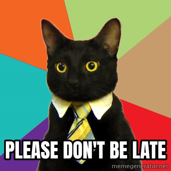 Business Cat meme: Please don't be late