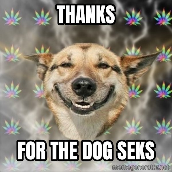 Stoner Dog meme: THANKS / FOR THE DOG SEKS