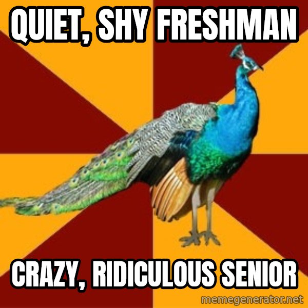Thespian Peacock meme: quiet, shy freshman / crazy, ridiculous senior