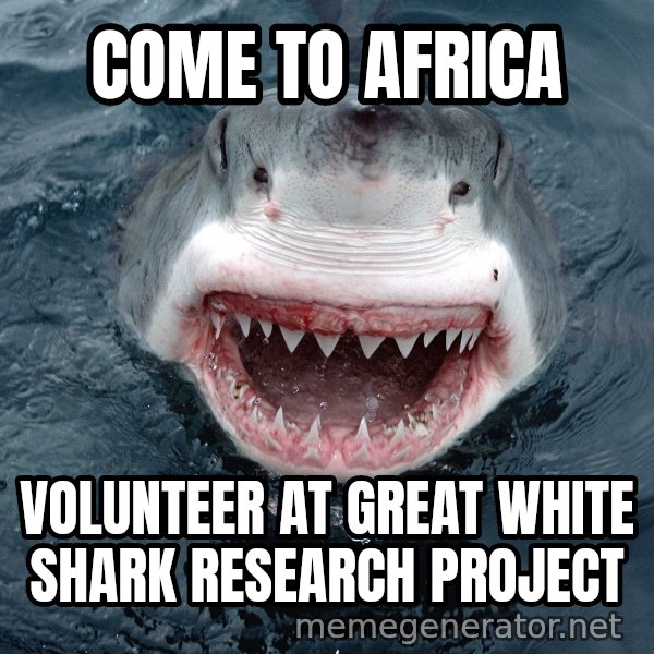 Insanity Shark meme: Come to Africa / volUnteer at great white shark reSEaRch project