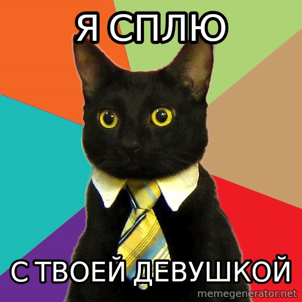 Business Cat meme: Я сплю / с твоей девушкой