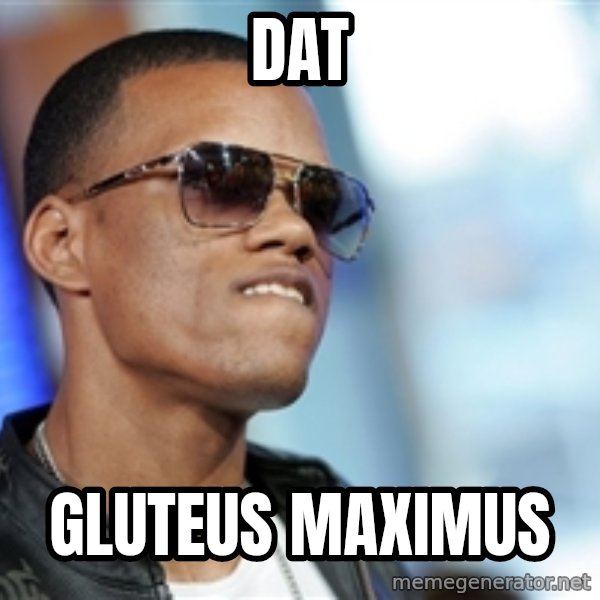 Dat Ass meme: Dat / Gluteus maximus