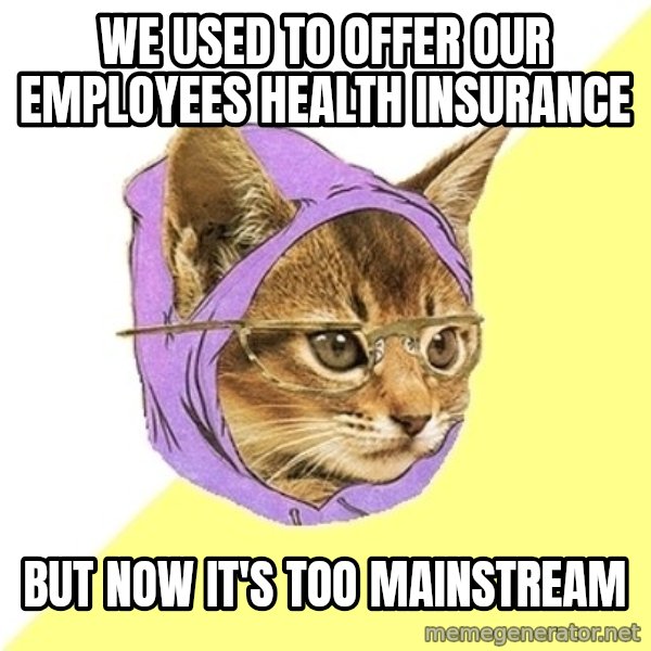 Hipster Kitty meme: we used to offer our employees health insurance / but now it's too mainstream