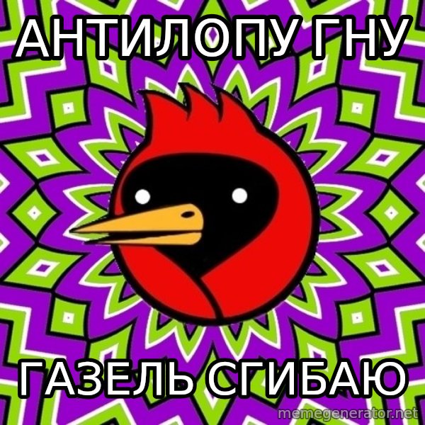 Omsk Crow meme: Антилопу гну / Газель сгибаю