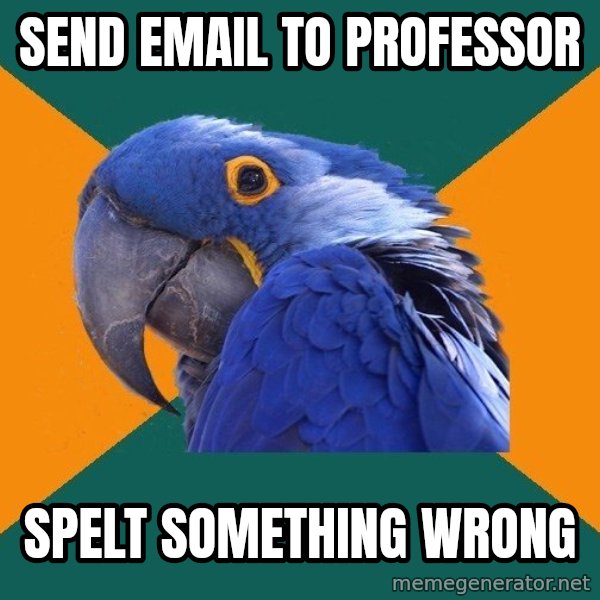 Paranoid Parrot meme: Send email to professor / spelt something wrong