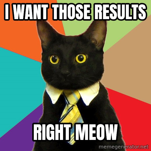 Business Cat meme: I WANT THOSE RESULTS / Right Meow