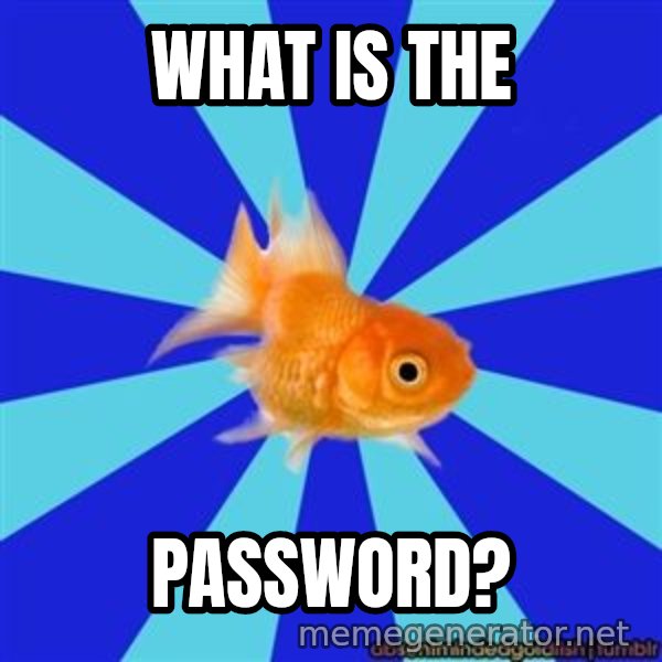Absentminded Goldfish meme: What is the / password?