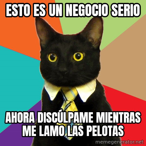 Business Cat meme: esto es un negocio serio / ahora discúlpame mientras me lamo las pelotas