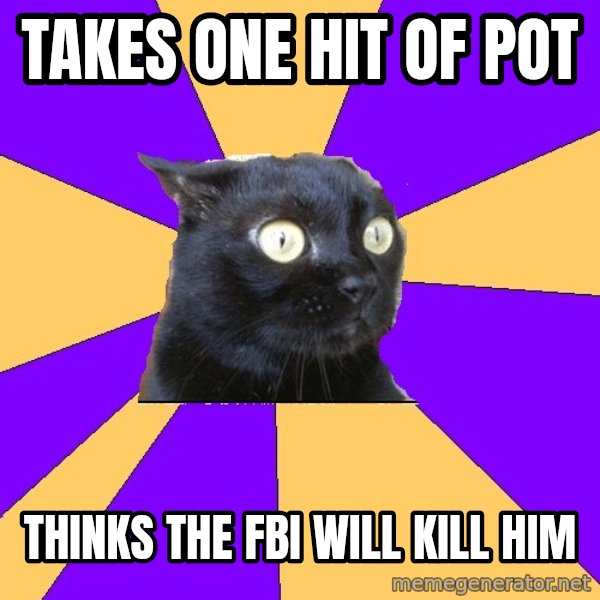 Anxiety Cat meme: Takes one hit of pot / Thinks the fbi will kill him