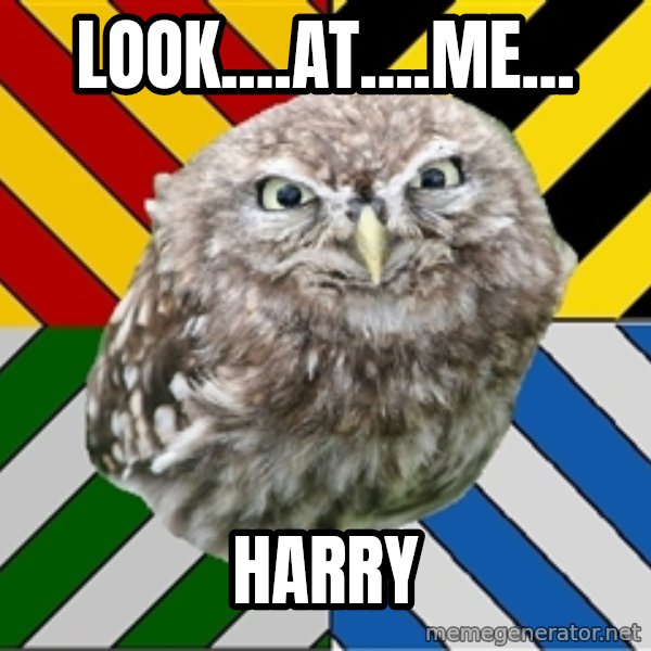 JEALOUS POTTEROMAN meme: look....at....me... / HARRY