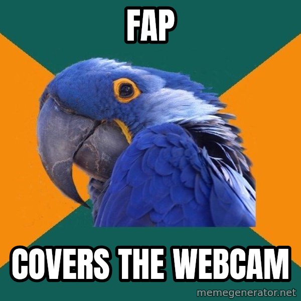 Paranoid Parrot meme: fap / covers the webcam