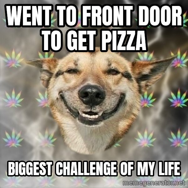Stoner Dog meme: went to front door to get pizza / biggest challenge of my life
