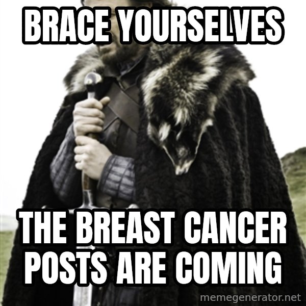 Ned Stark meme: Brace yourselves / the breast cancer posts are coming