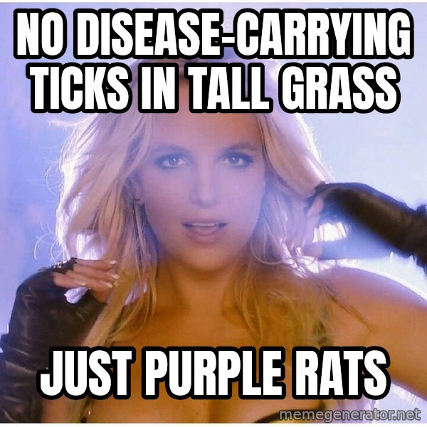 Professor Oak meme: NO DISEASE-CARRYING TICKS IN TALL GRASS / JUST PURPLE RATS