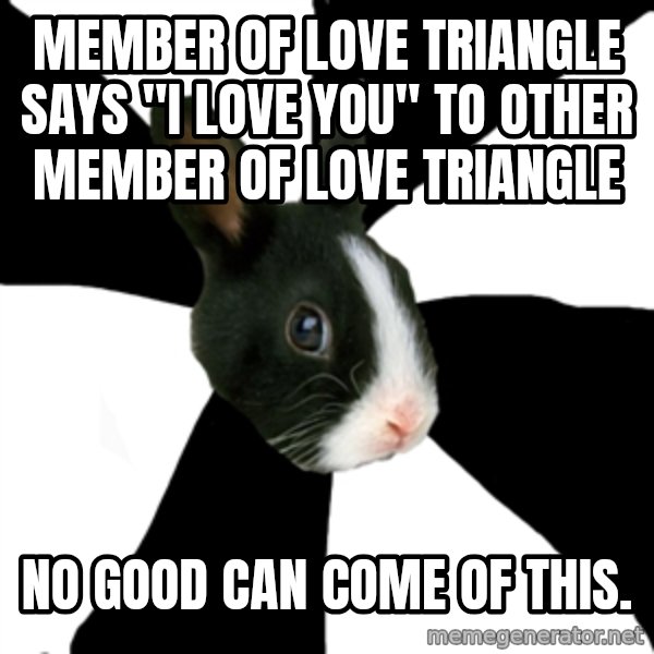 Roleplaying Rabbit meme: member of love triangle  says "i love you" to other member of love triangle / no good can come of this.