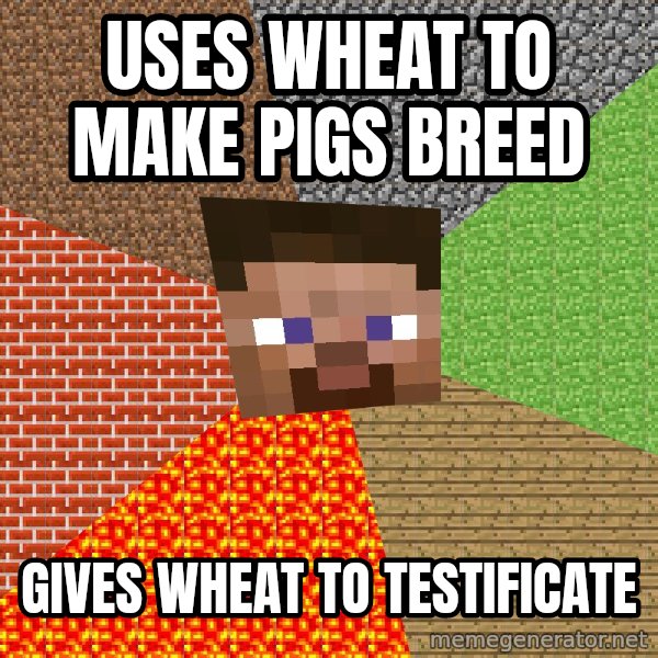Minecraft Guy meme: Uses wheat to make pigs breed / Gives wheat to testificate