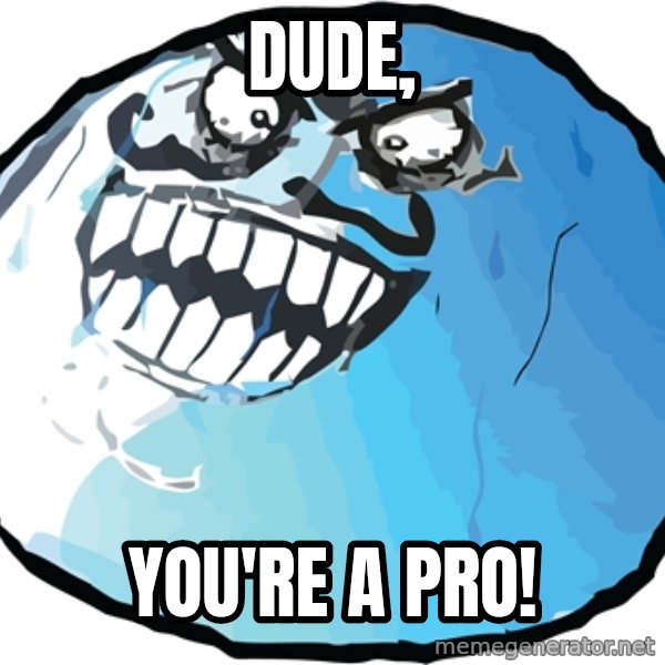 I LIED STASH meme: Dude, / You're a pro!