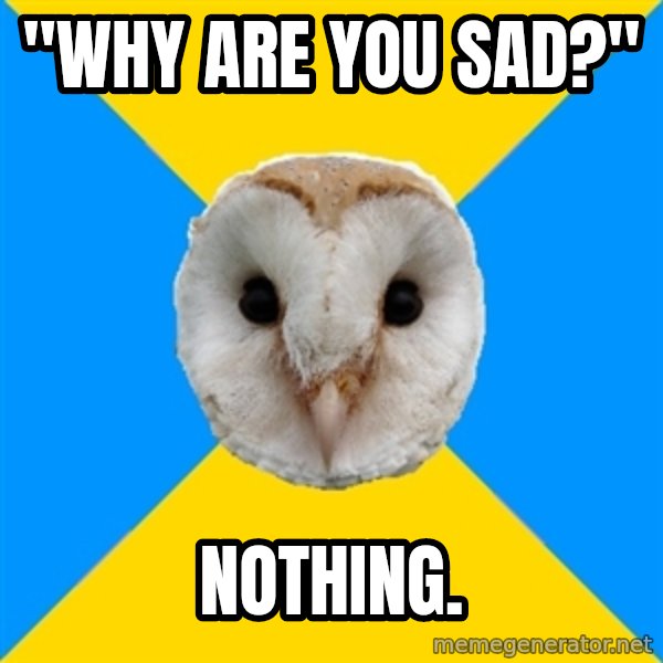 Bipolar Owl meme: "Why are you sad?" / nothing.