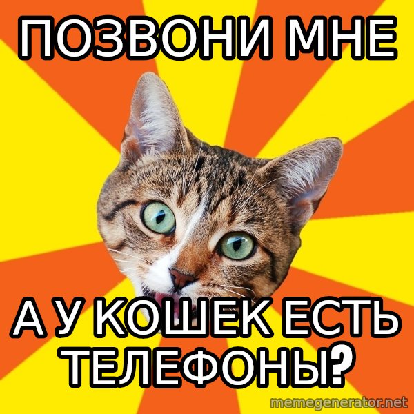 Bad Advice Cat meme: Позвони мне / А у кошек есть телефоны?