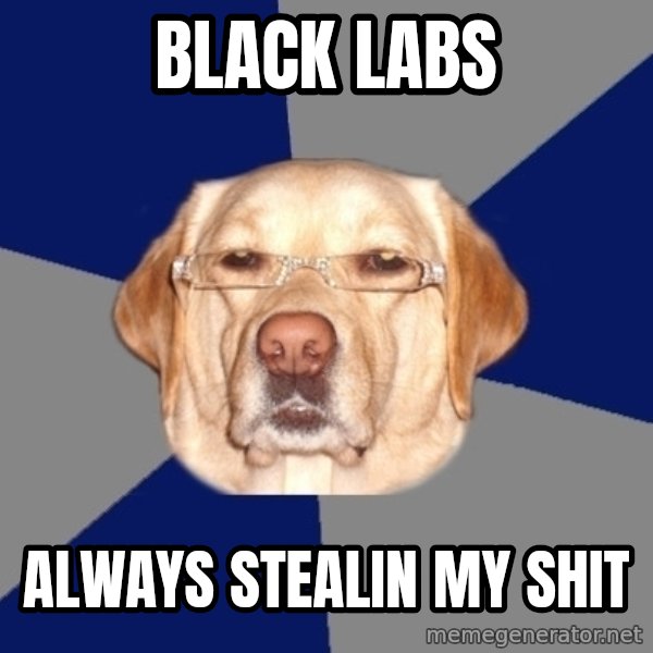 Racist Dawg meme: Black Labs / always stealin my shit