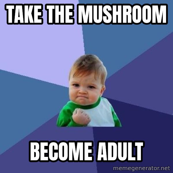 Success Kid meme: TAKE THE MUSHROOM / BECOME ADULT