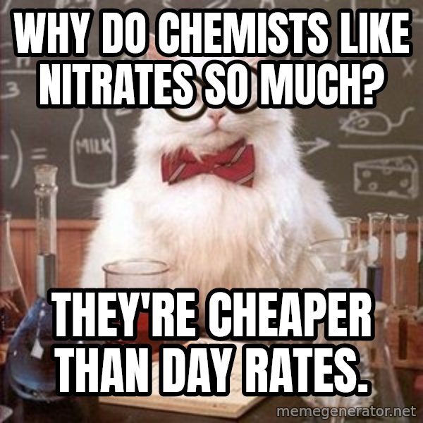 Chemistry Cat meme: Why do chemists like nitrates so much? / They're cheaper than day rates.