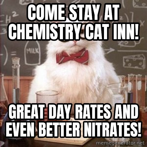 Chemistry Cat meme: Come stay at chemistry cat inn! / great day rates and even better nitrates!