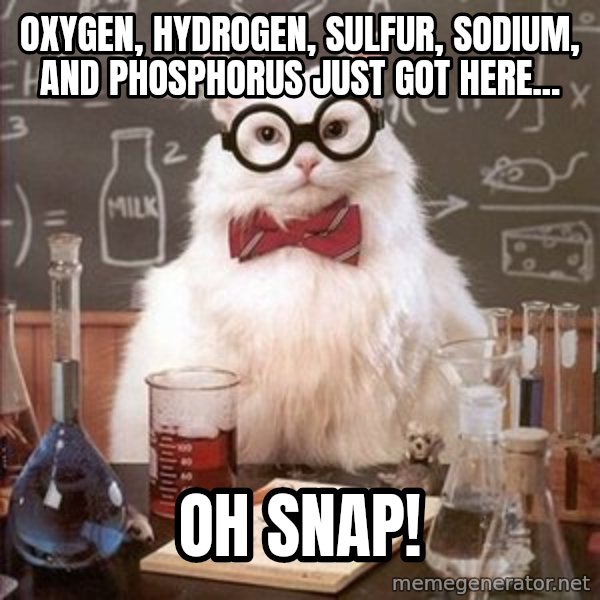 Chemistry Cat meme: Oxygen, hydrogen, sulfur, sodium, and phosphorus just got here... / Oh snap!