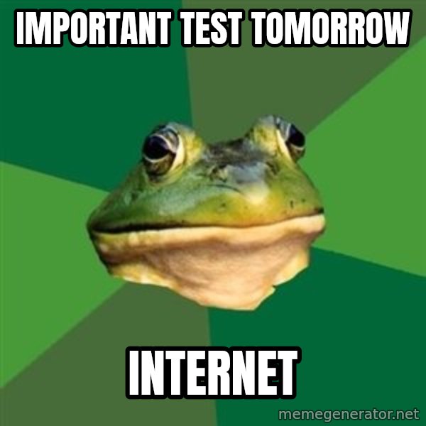 Foul Bachelor Frog meme: Important test tomorrow / internet