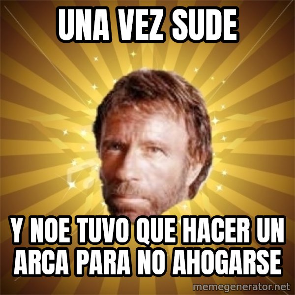 Chuck Norris Advice meme: UNA VEZ SUDE / Y NOE TUVO QUE HACER UN ARCA PARA NO AHOGARSE