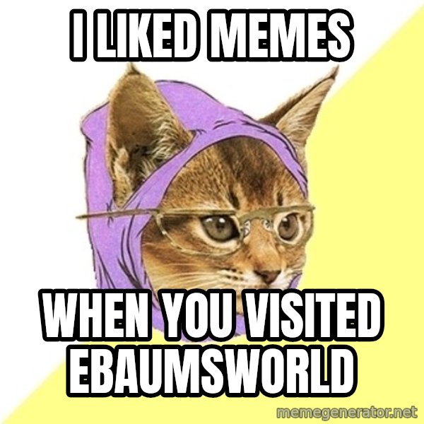Hipster Kitty meme: I liked memes / When you visited EbaumsWorld