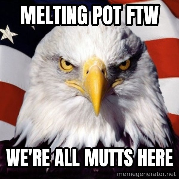 American Pride Eagle meme: melting pot ftw / we're all mutts here
