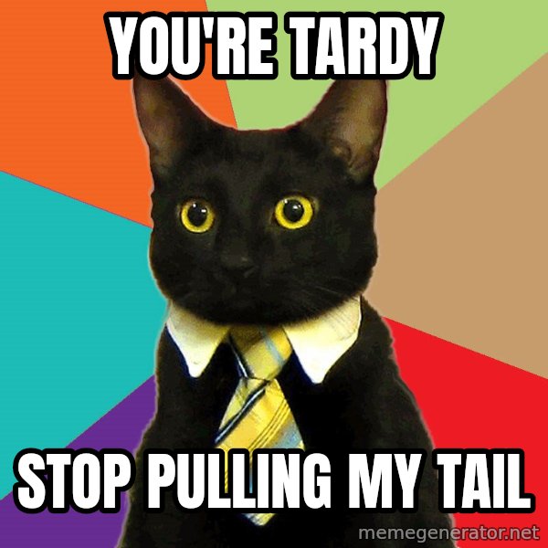 Business Cat meme: You're tardy / stop pulling my tail