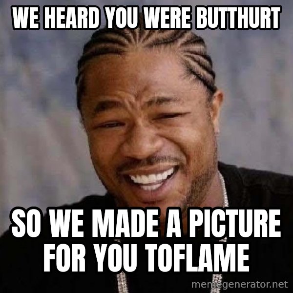 Yo Dawg meme: wE HEARD YOU WERE BUTTHURT / SO WE MADE A PICTURE FOR YOU TOFLAME