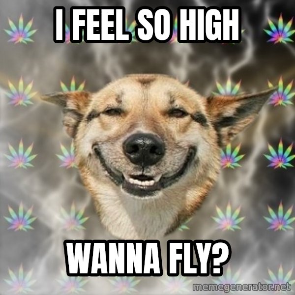 Stoner Dog meme: I feel so high / wanna fly?
