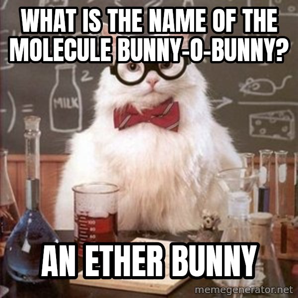 Chemistry Cat meme: What is the name of the molecule bunny-O-bunny? / An ether bunny