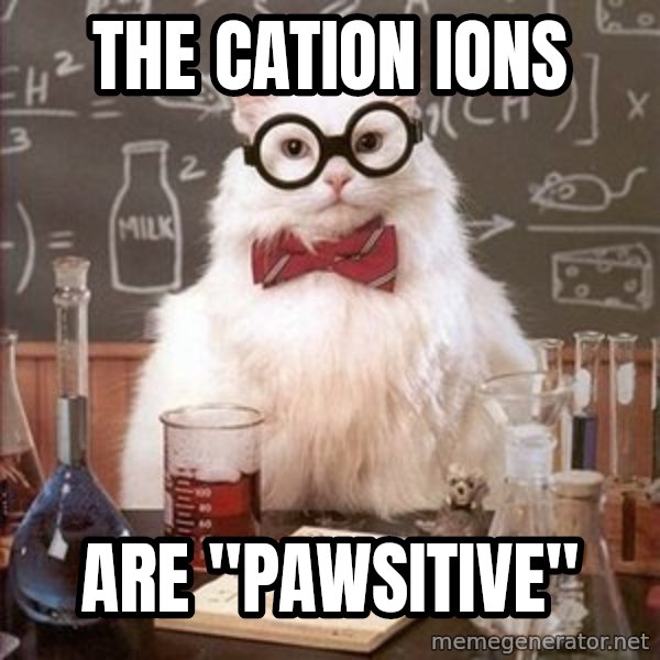 Chemistry Cat meme: The CATion ions / aRE "PAWSITIVE"
