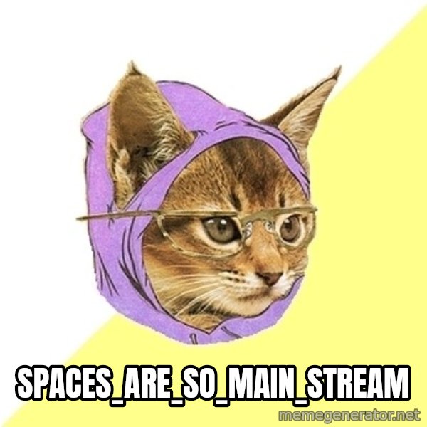 Hipster Kitty meme: SPACES_ARE_SO_MAIN_STREAM