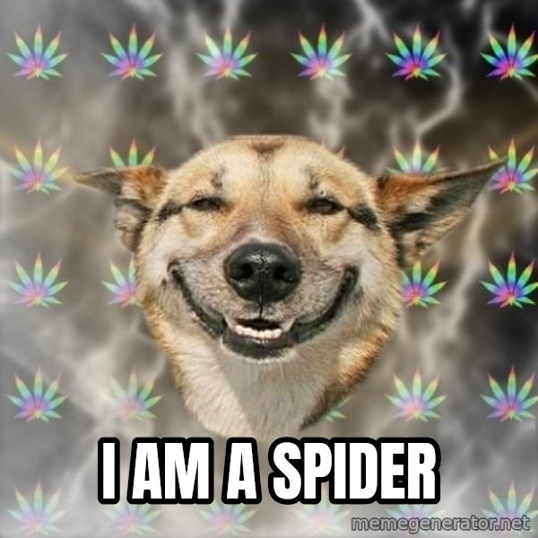 Stoner Dog meme: I am a spider